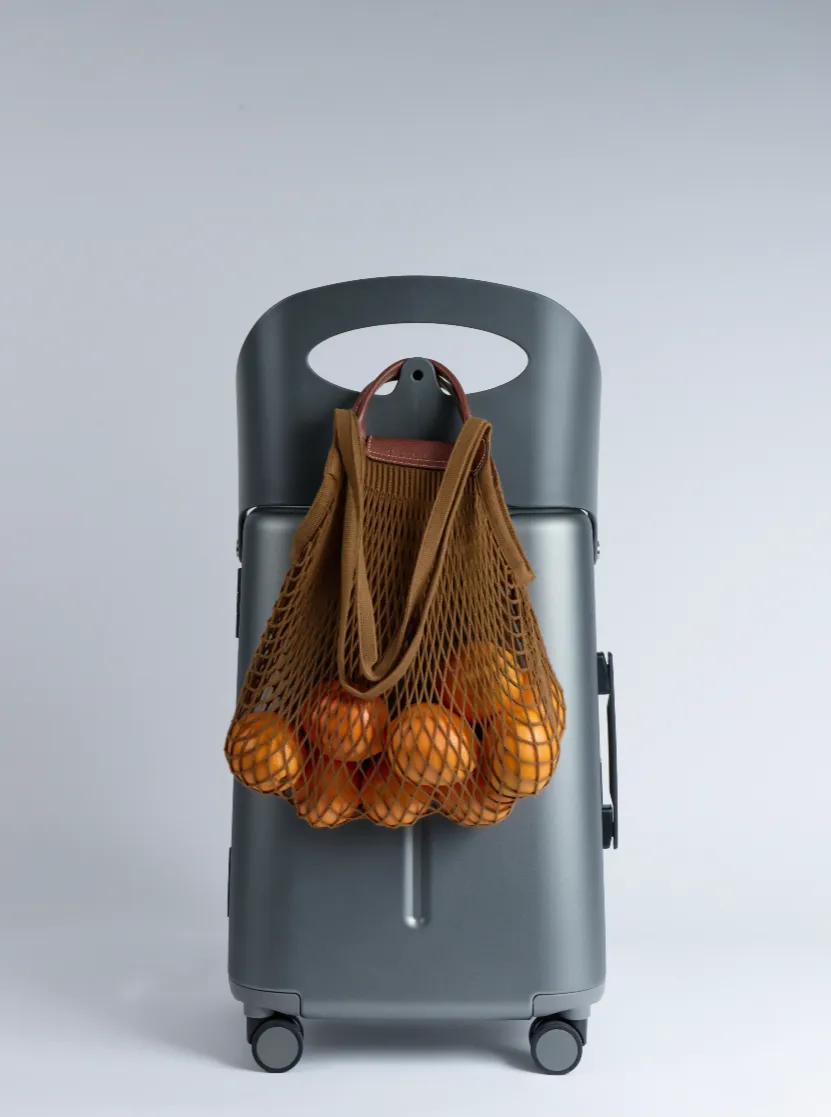 MiaMily MultiCarry Carry On Luggage 18"