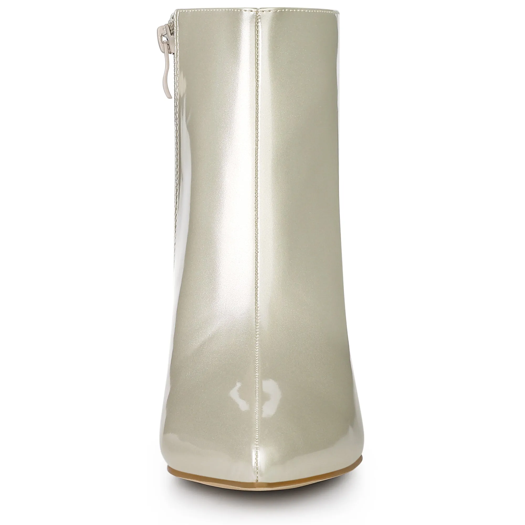 Patent Leather Pointed Toe Clear Chunky Heel Ankle Boots